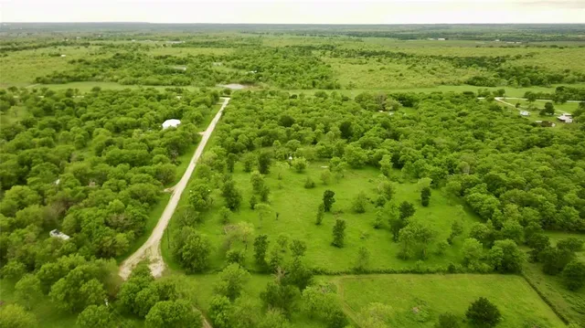a view of a lush green forest
