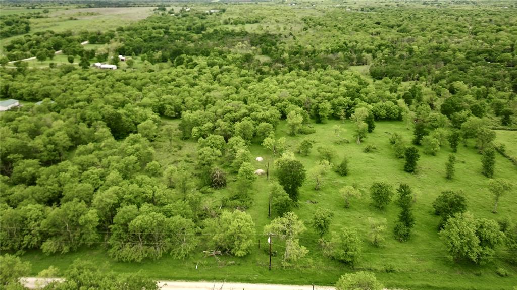 4909 Southwest County Road 2397 Wortham, TX 76693 - Photo 10 of 15 a view of a big yard with plants and large trees
