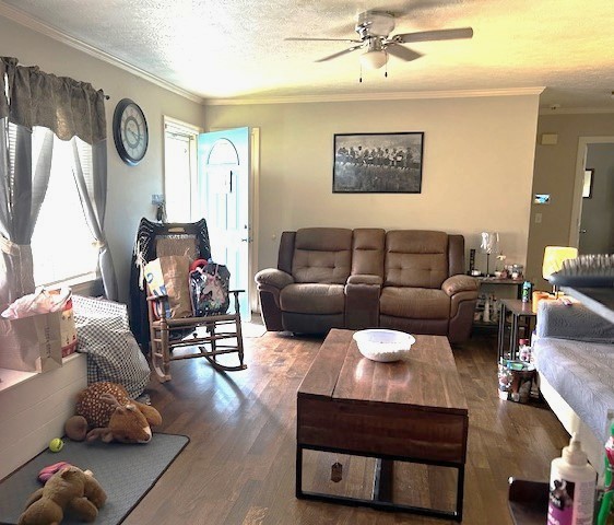 102 Cofer Drive Springfield, TN 37172 - Photo 3 of 18 a living room with furniture and a large window