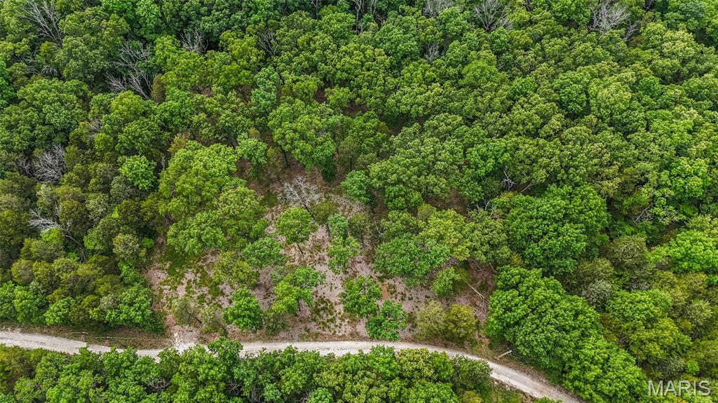299 Whitetail Ridge Dittmer, MO 63023 - Photo 11 of 19