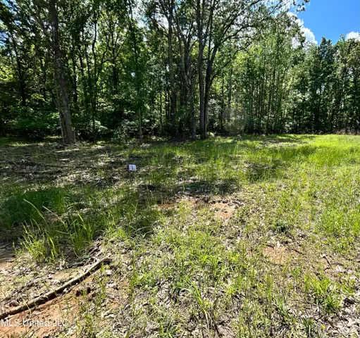 $260,000 | 5147 South S Highway, Hernando, MS 38632