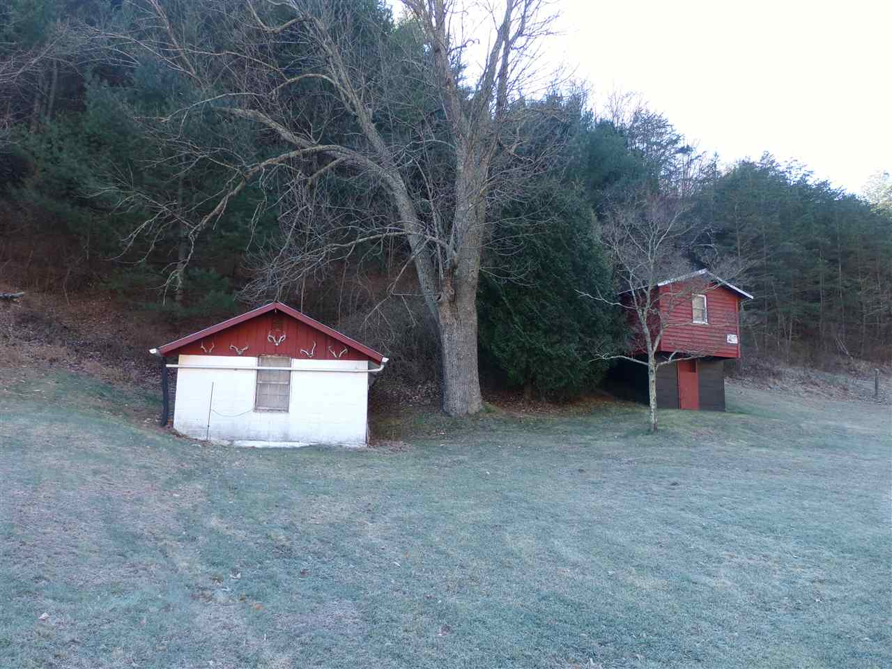 22971 Bennett Run Road Bergton, VA 22811 - Photo 4 of 24 an outdoor space with trees in the background