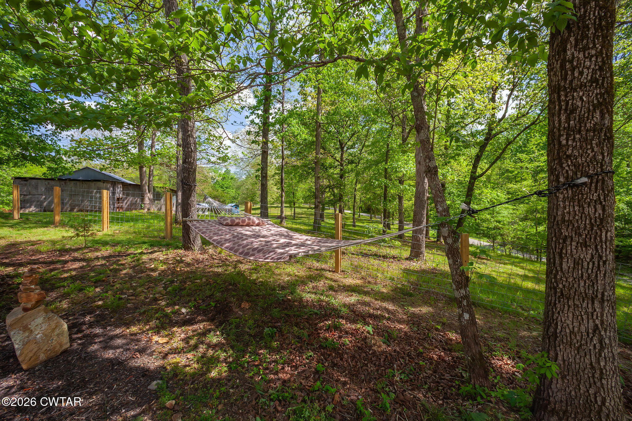 455 Madison Scott Road Parsons, TN 38363 - Photo 26 of 45 a view of a tree in the middle of a forest