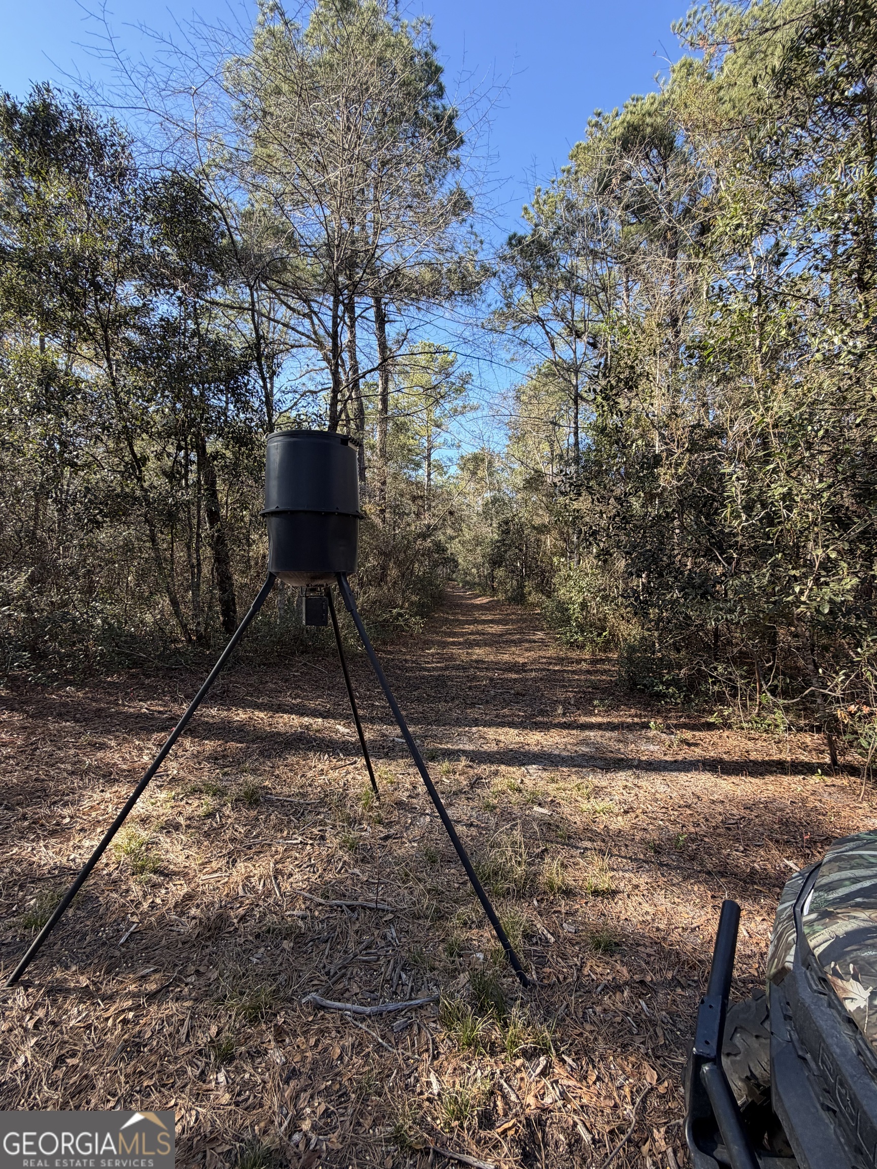3833 Old Louisville Road Guyton, GA 31312 - Photo 3 of 6 a backyard of a house with table and chairs