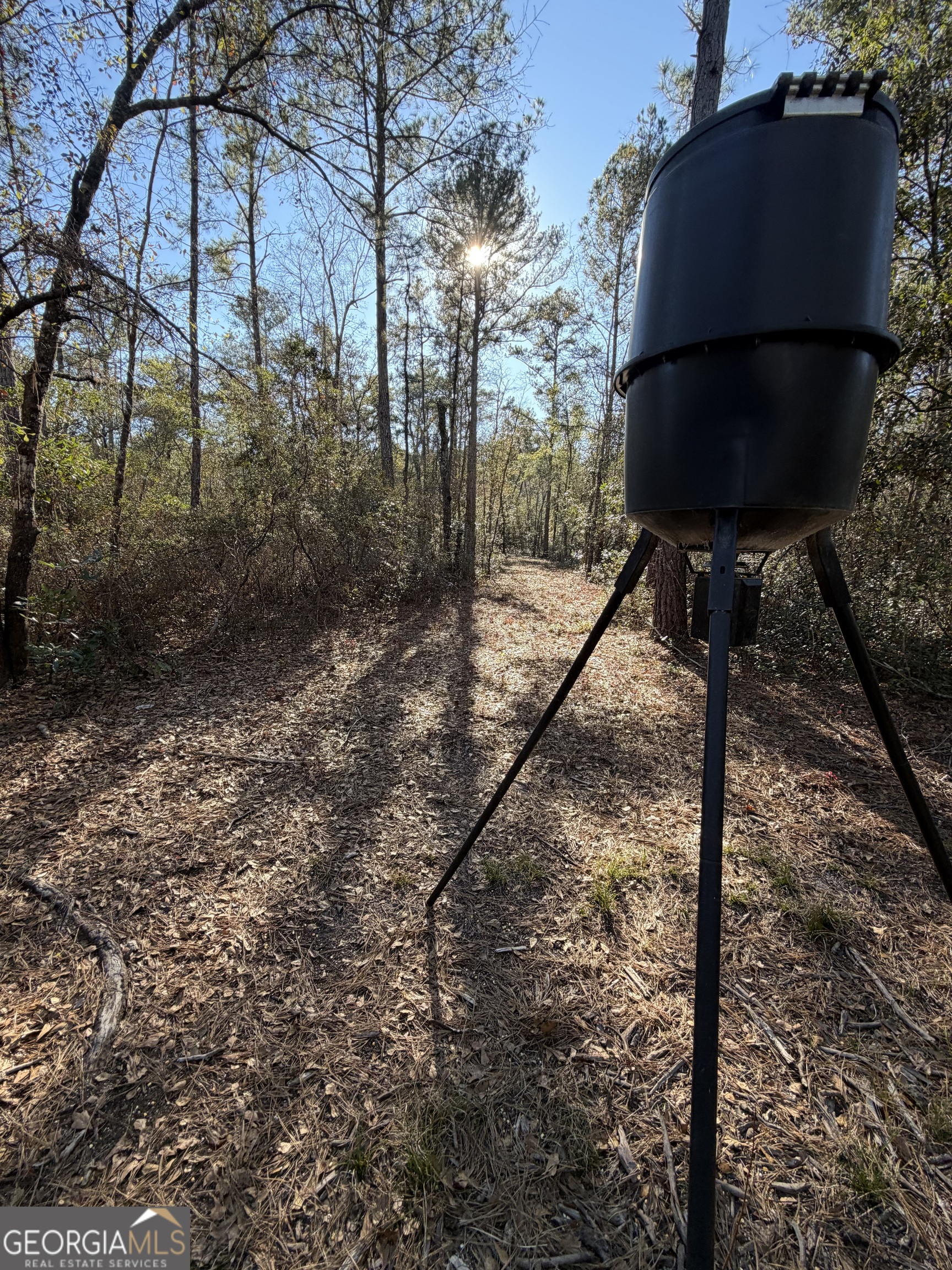 3833 Old Louisville Road Guyton, GA 31312 - Photo 4 of 6 a picture of a yard