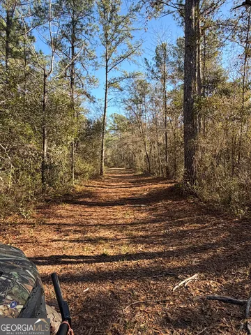 a view of a yard with trees