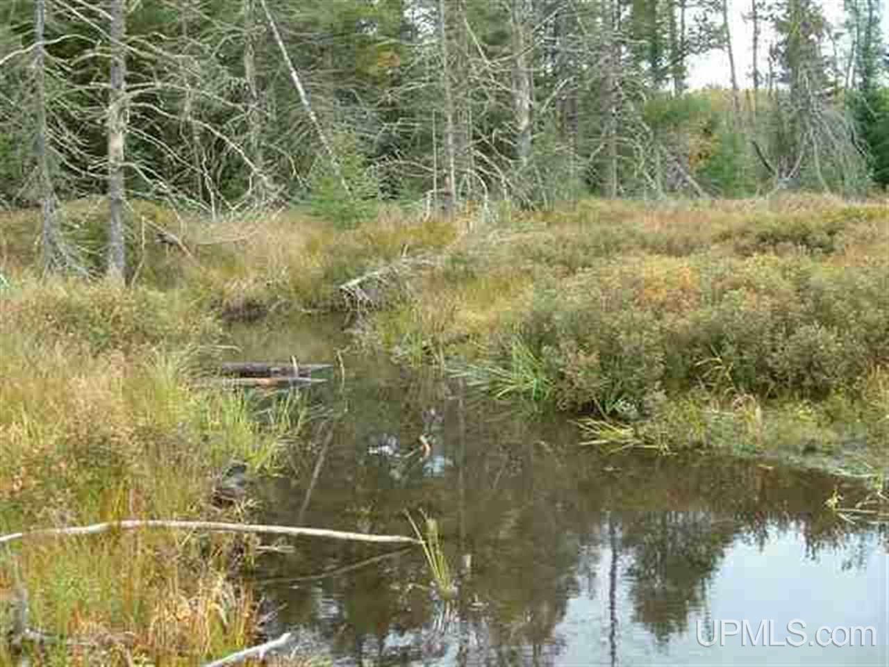 Parcel 4 Off Crossover Road Munising, MI 49862 - Photo 1 of 8