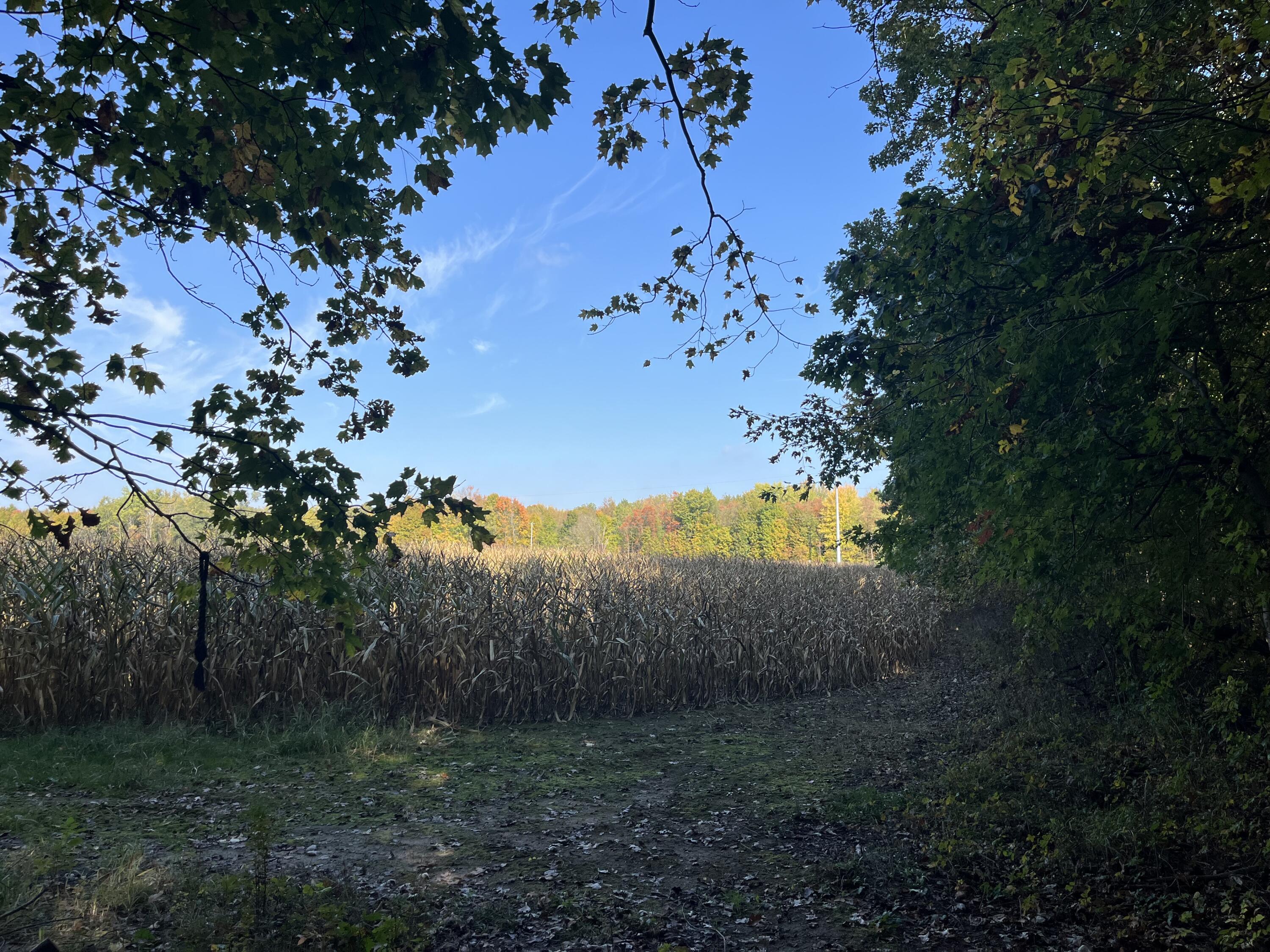 W Street Lawrence, MI 49064 - Photo 2 of 10 IMG_4711