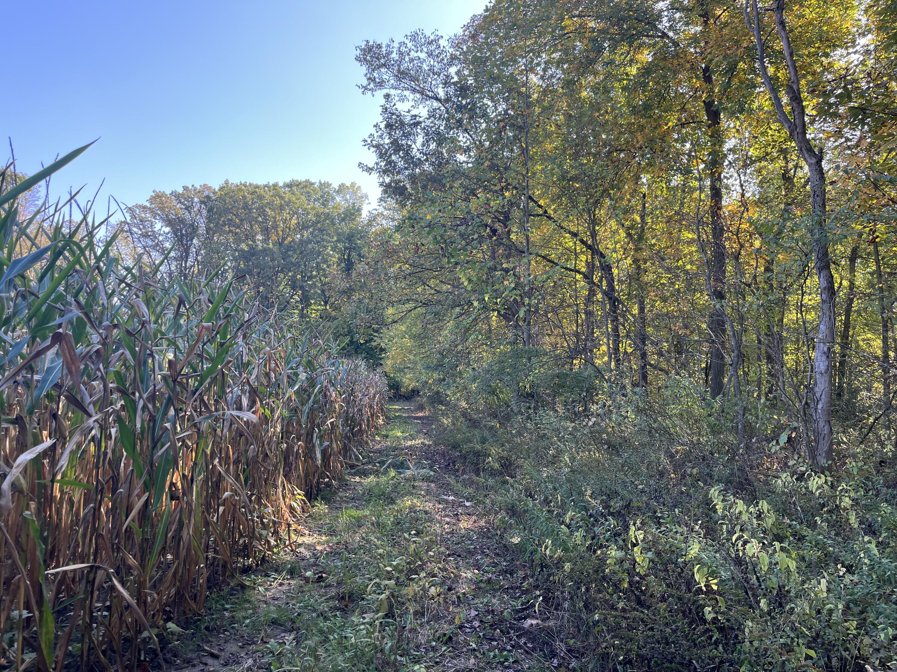 W Street Lawrence, MI 49064 - Photo 4 of 10 IMG_4700