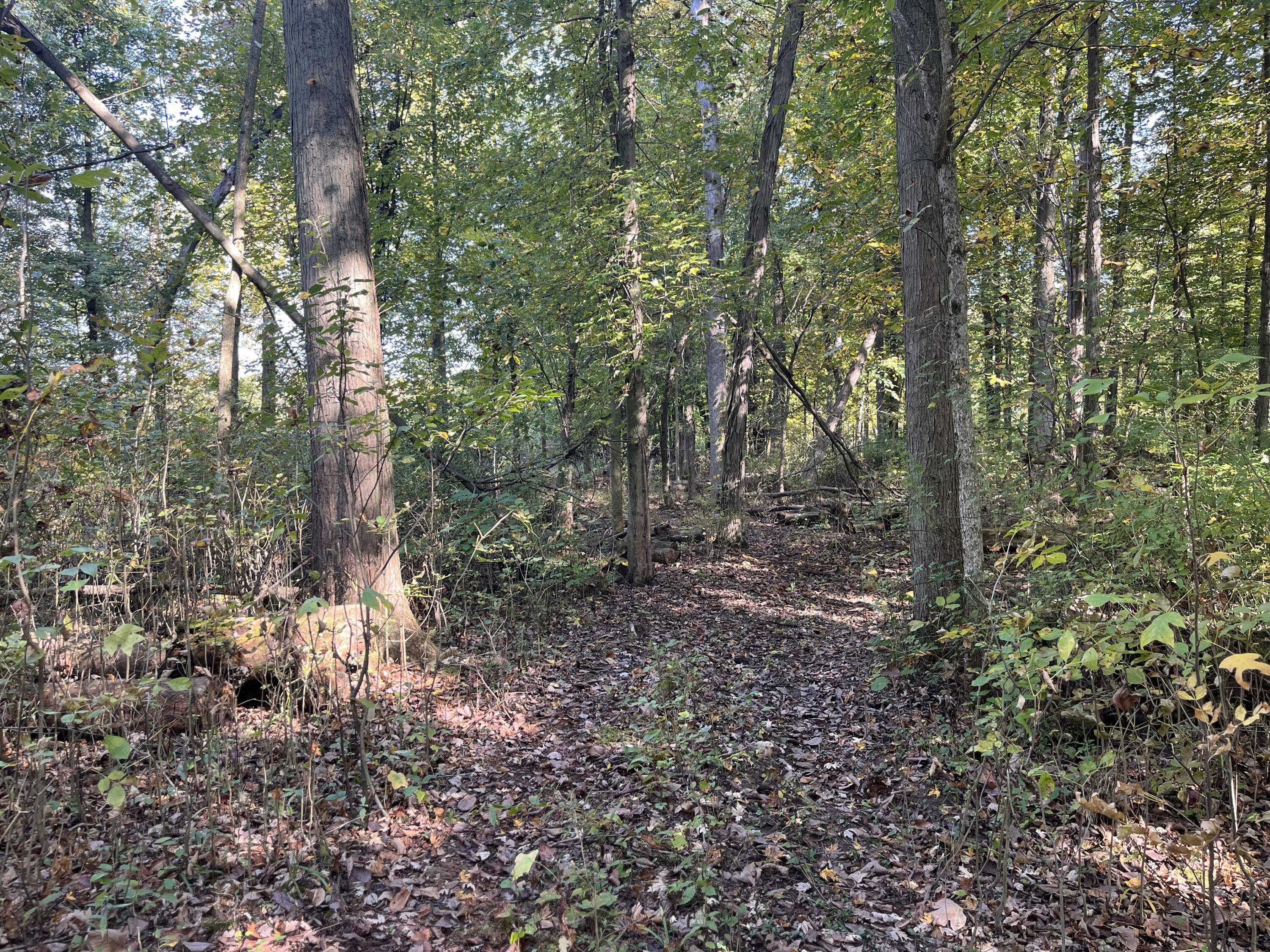 W Street Lawrence, MI 49064 - Photo 6 of 10 IMG_4704