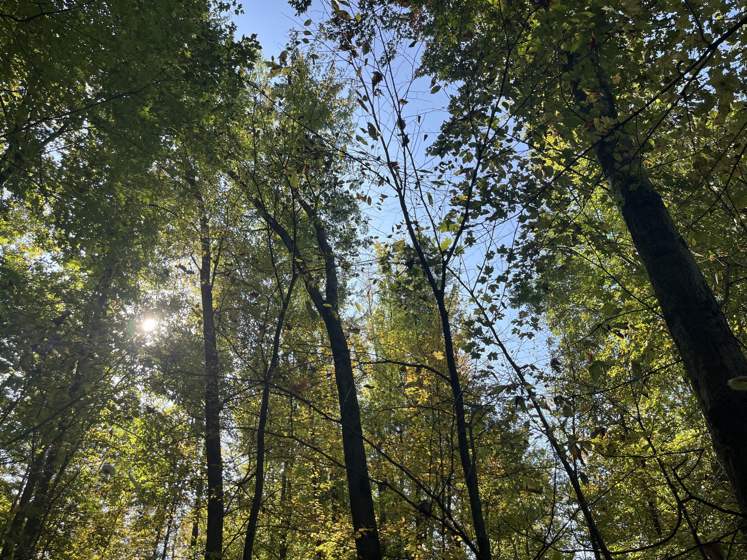 W Street Lawrence, MI 49064 - Photo 8 of 10 IMG_4708