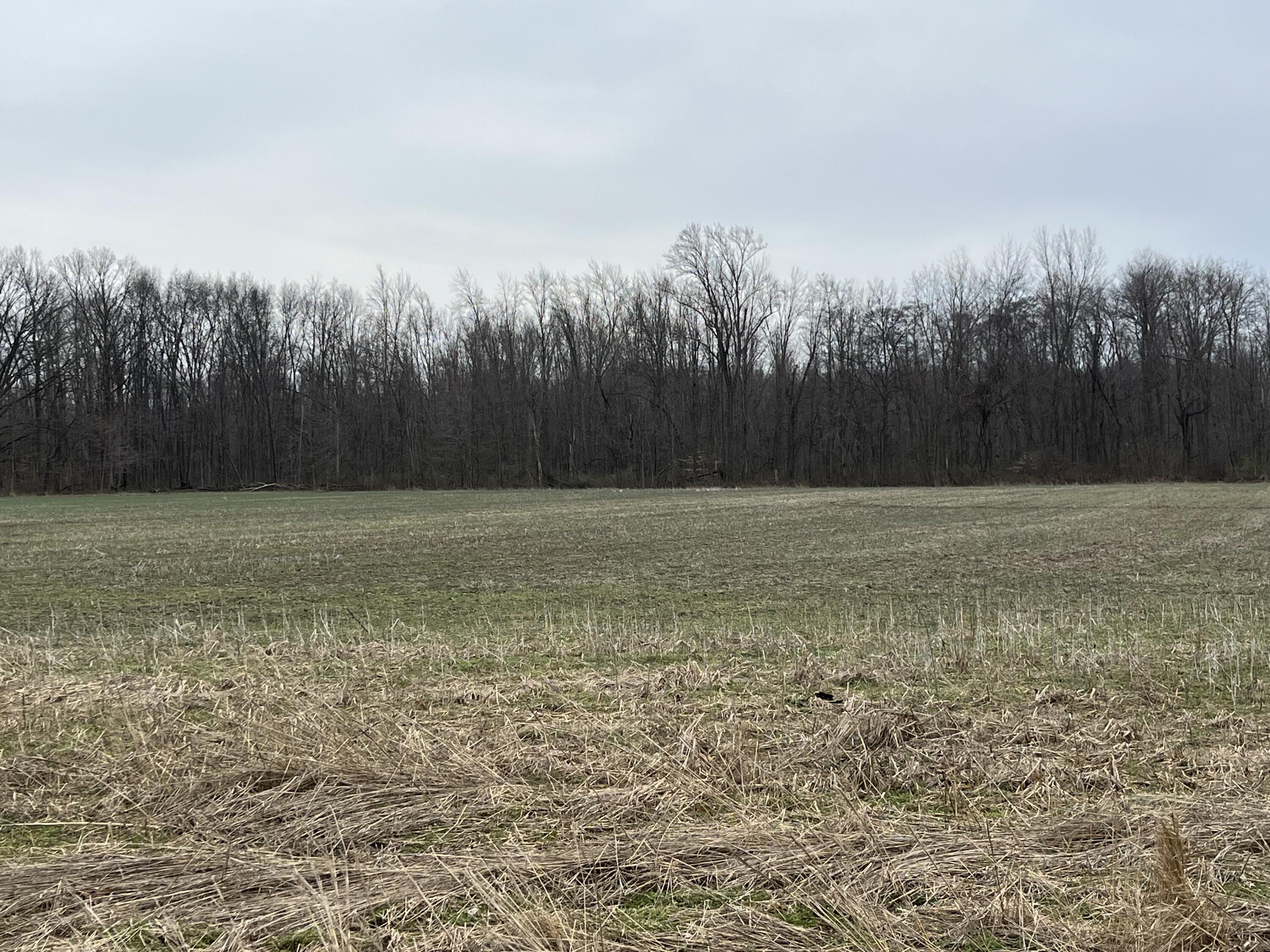 W Street Lawrence, MI 49064 - Photo 10 of 10 IMG_3815