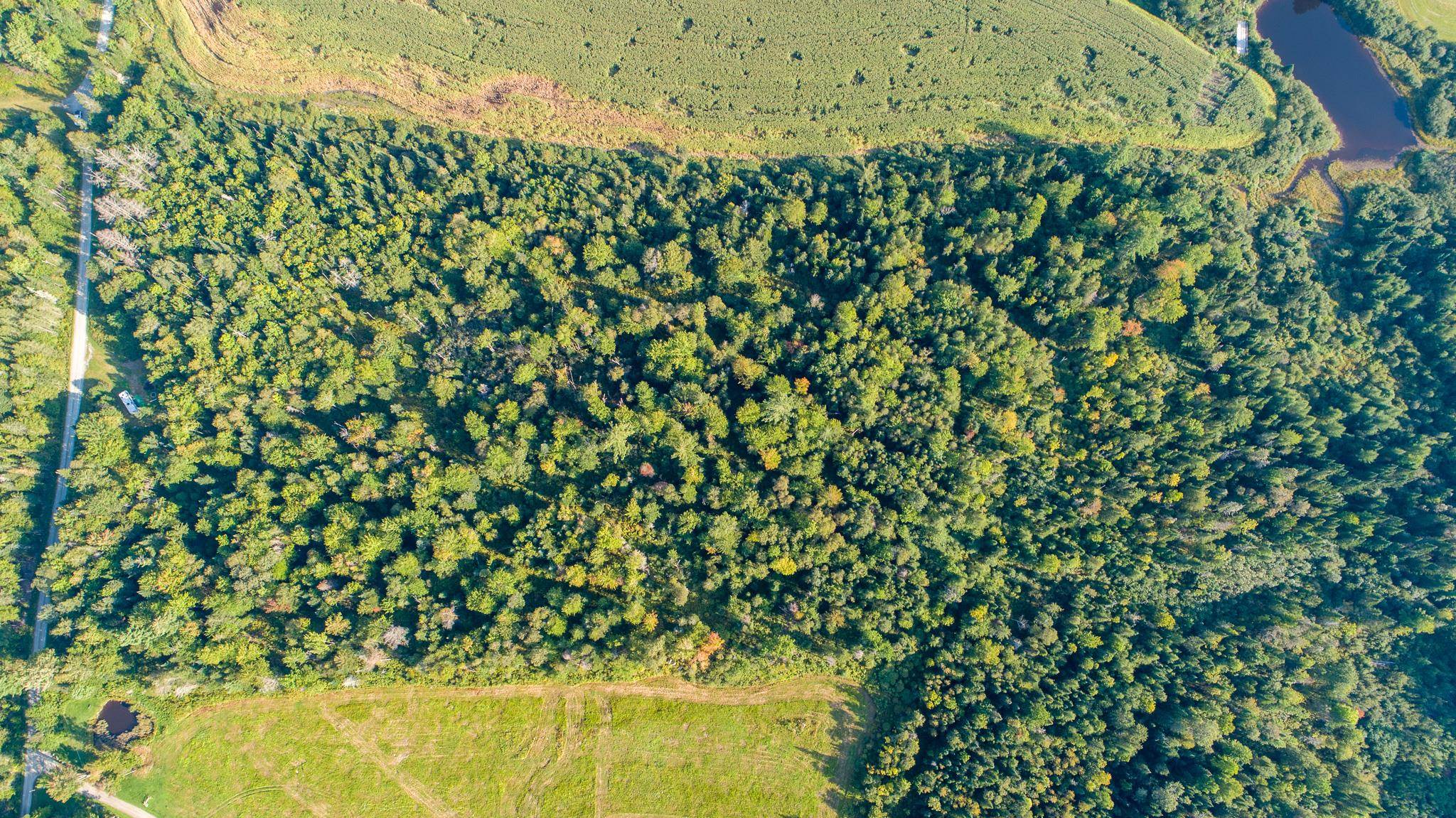 2 St Lunenburg Vt 05906 Lunenburg, VT 05906 - Photo 4 of 17