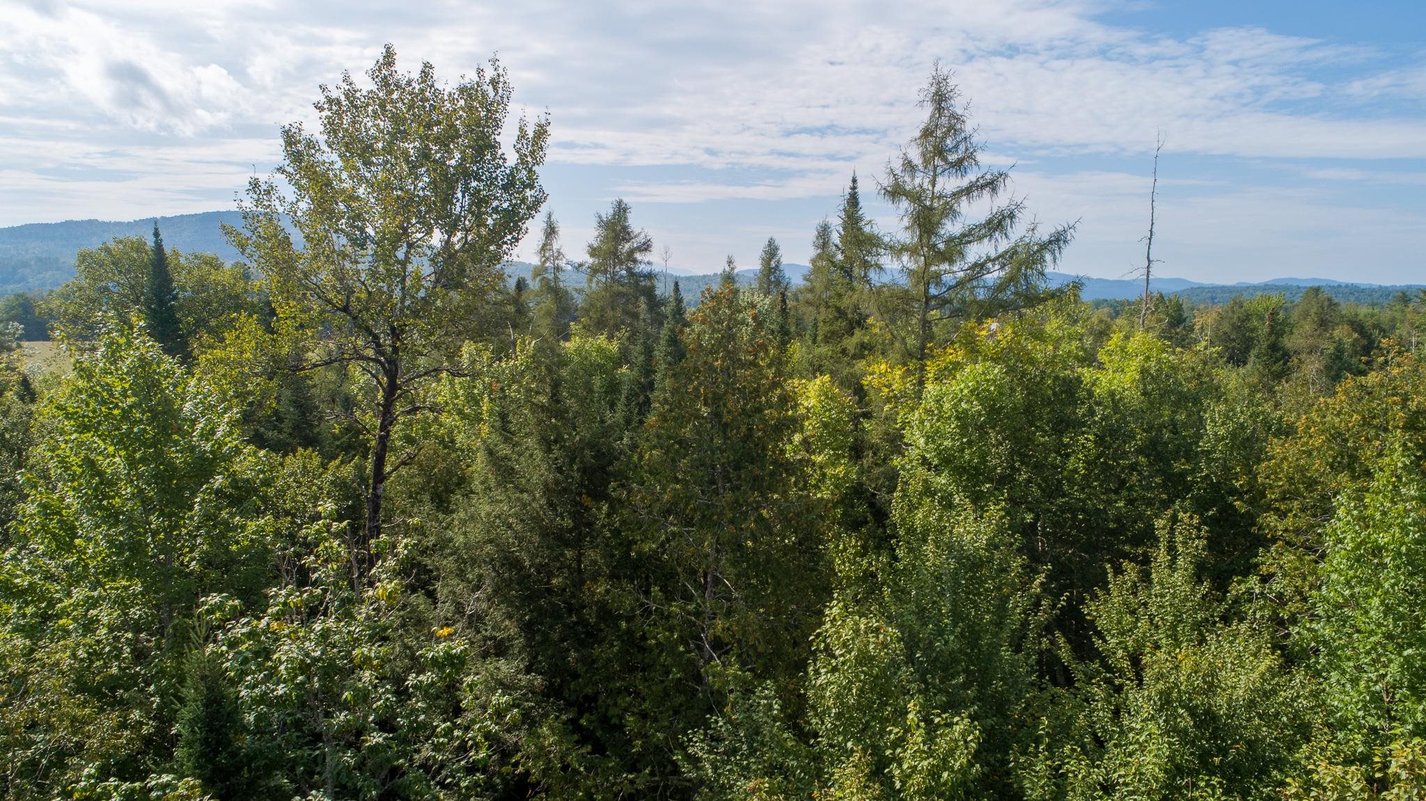 2 St Lunenburg Vt 05906 Lunenburg, VT 05906 - Photo 6 of 17