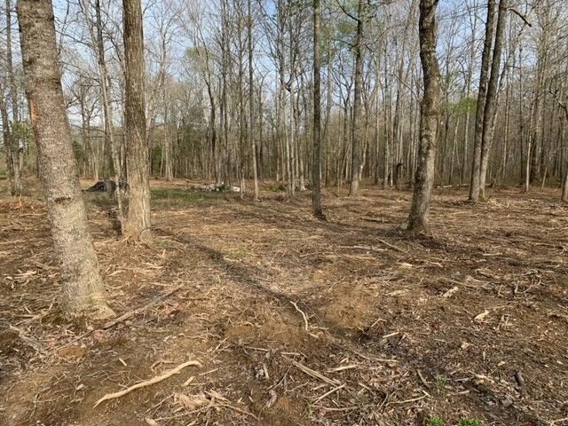 2 Ledford Mill Road Tullahoma, TN 37388 - Photo 11 of 11 Gallery Image 11