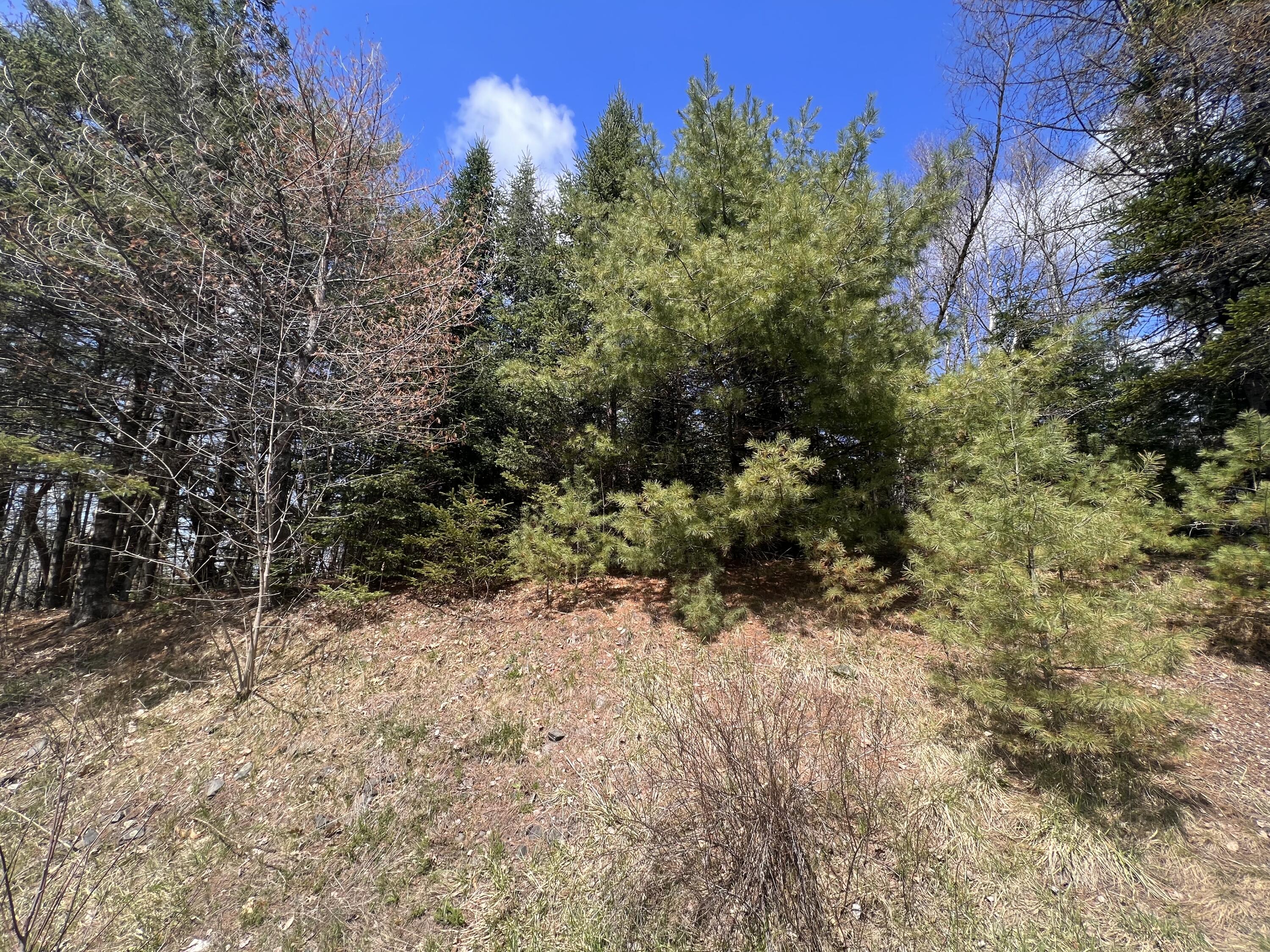 6-062 Smith Road Amherst, ME 04605 - Photo 3 of 4 8184C693-330A-4E6A-9DD0-399192178113