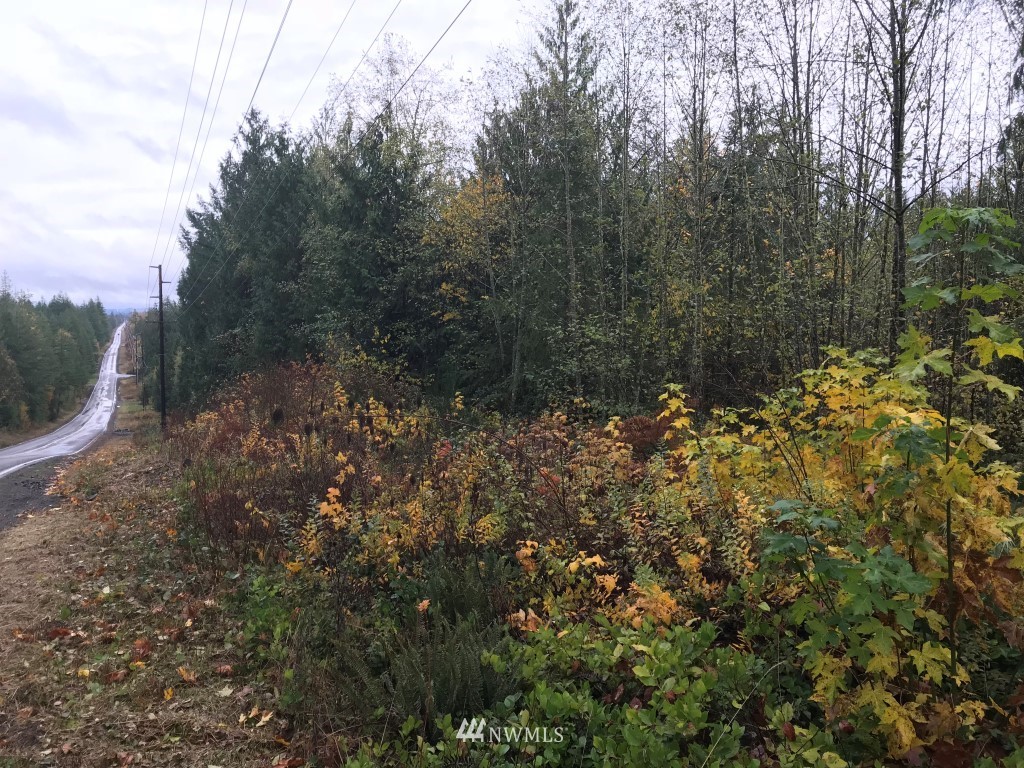 0 Larmon Road Ethel, WA 98542 - Photo 2 of 7 Gallery Image 2