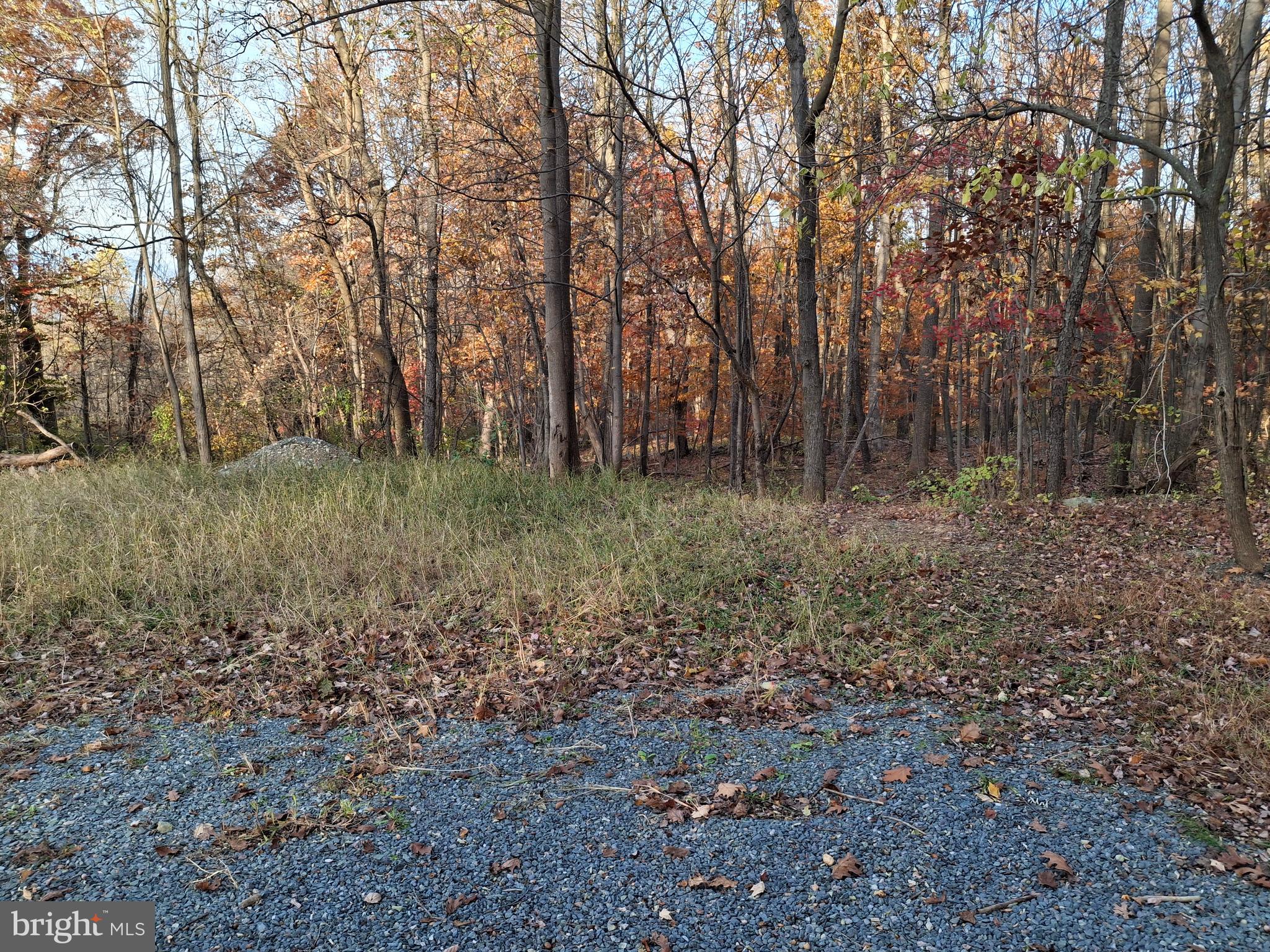 80 Lightning Trail Fairfield, PA 17320 - Photo 4 of 5 a view of a yard with large trees
