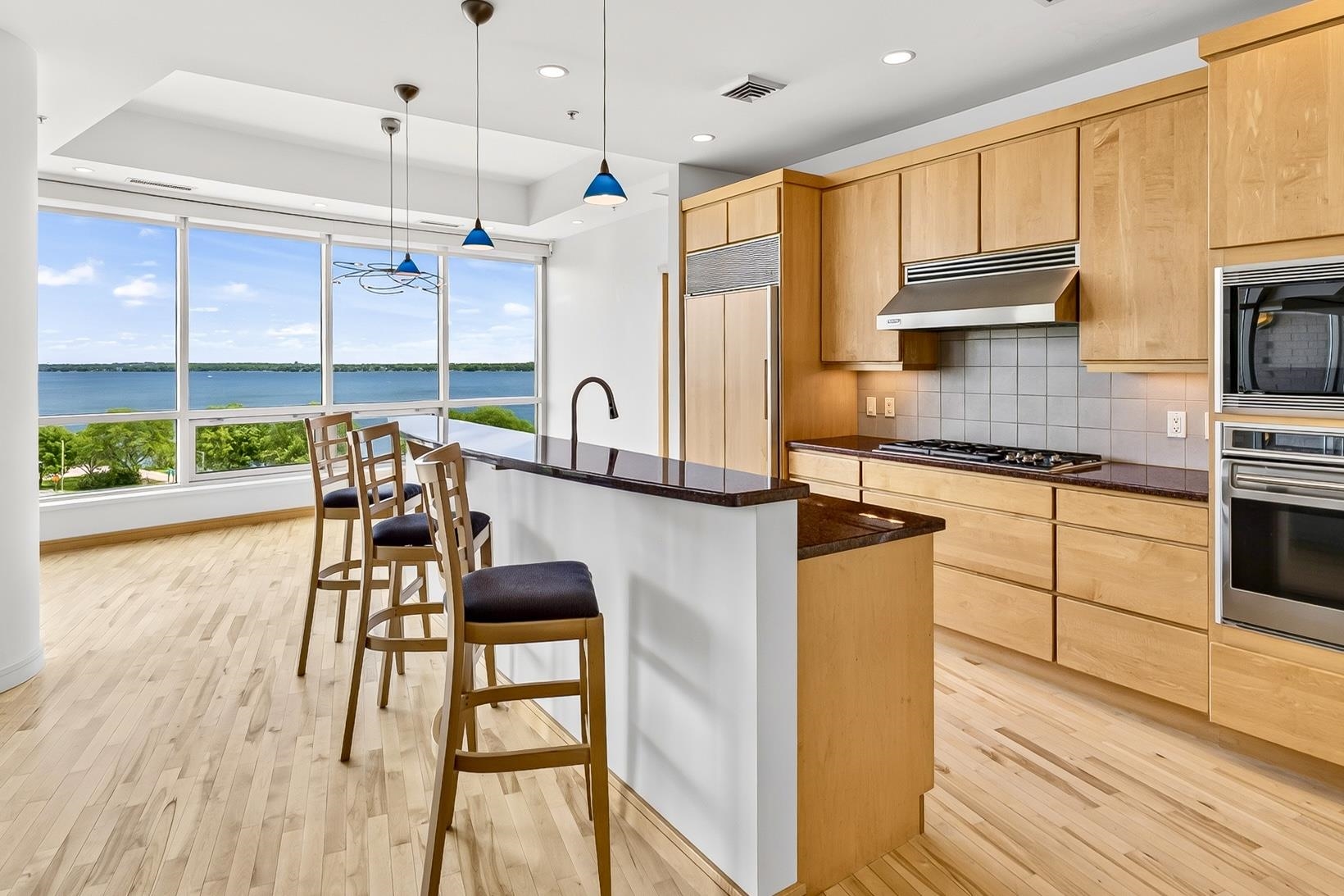 350 South Hamilton Street, Unit 601 Madison, WI 53703 - Photo 5 of 6