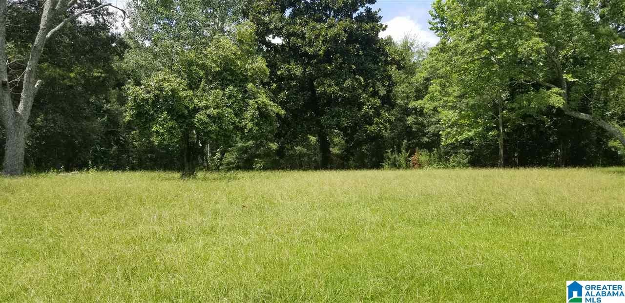 173 Beagle Club Road, Unit 1 2 Empire, AL 35063 - Photo 6 of 20