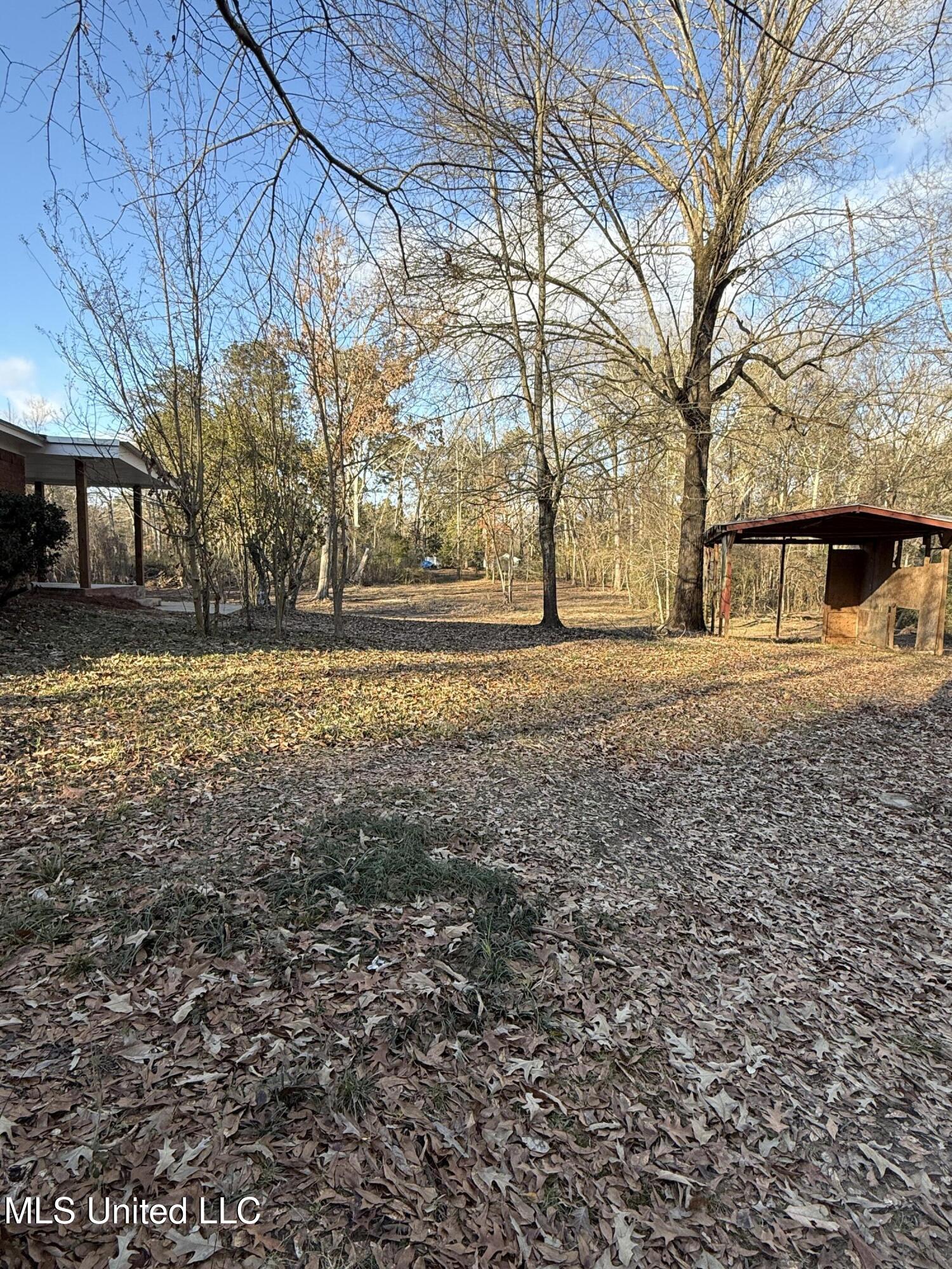 320 Eagle Cove Pearl, MS 39208 - Photo 34 of 47 Side Yard Viewed from Driveway