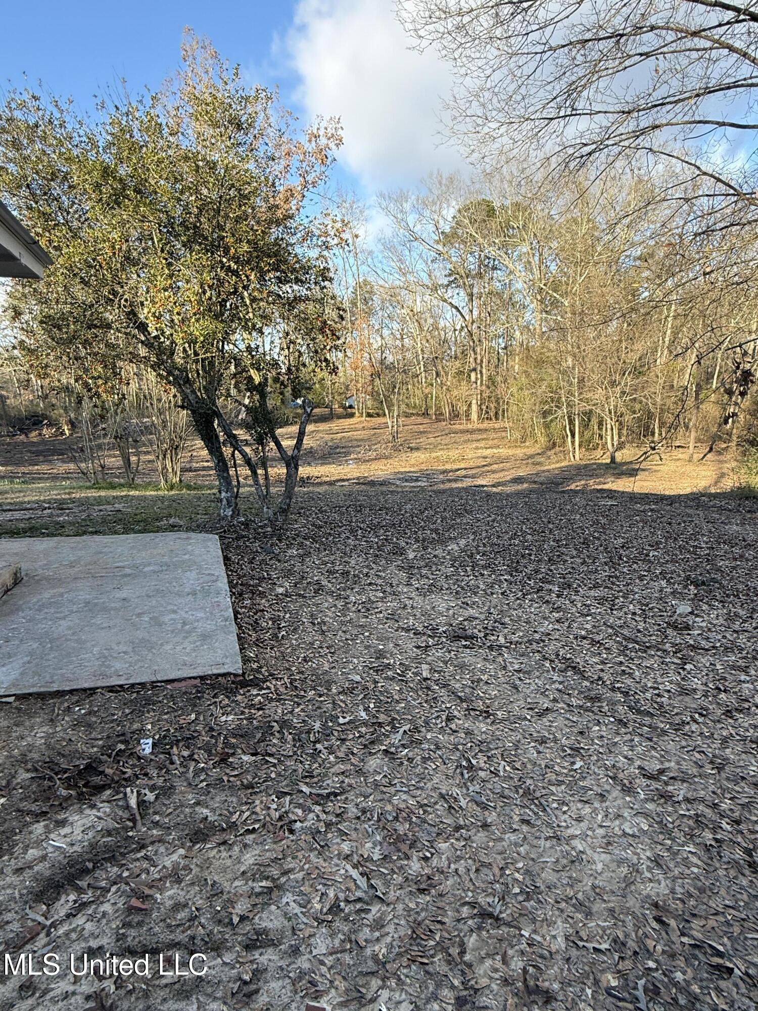 320 Eagle Cove Pearl, MS 39208 - Photo 35 of 47 To Backyard from Driveway