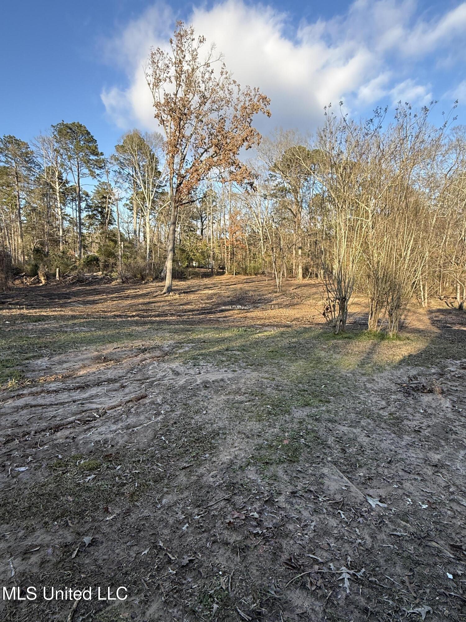 320 Eagle Cove Pearl, MS 39208 - Photo 37 of 47 ACREAGE