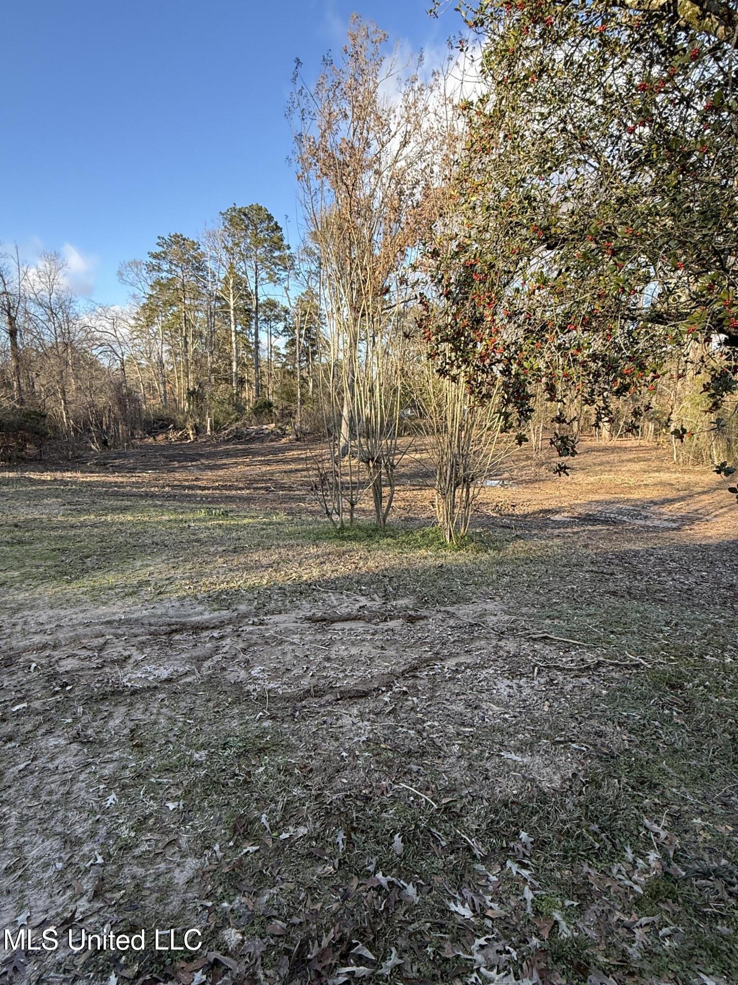 320 Eagle Cove Pearl, MS 39208 - Photo 38 of 47 2.5+/- Acres