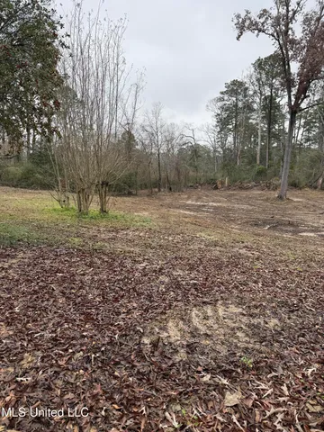 $299,000 | 320 Eagle Cove, Pearl, MS 39208