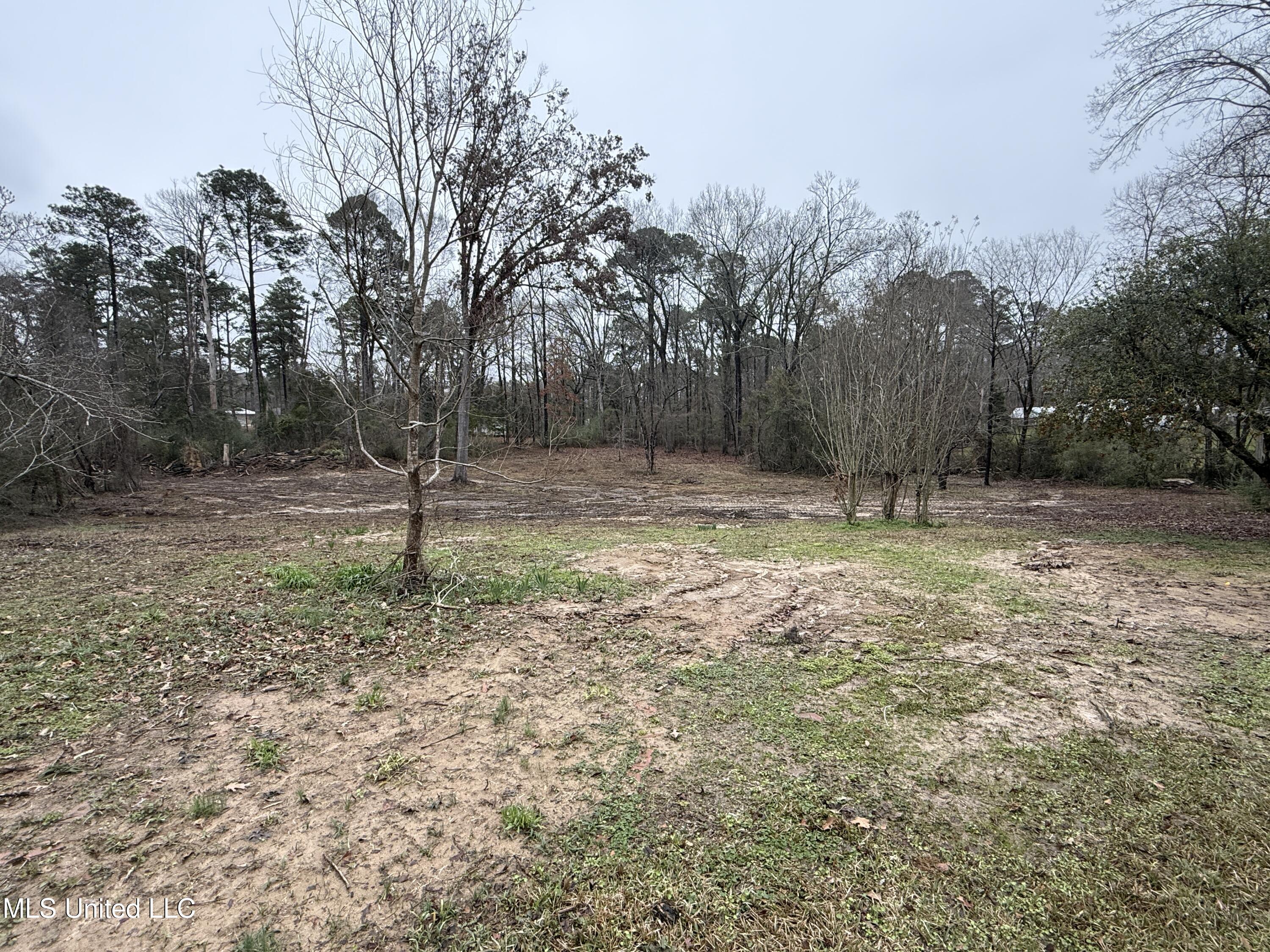 320 Eagle Cove Pearl, MS 39208 - Photo 44 of 47 2.5+/- Acres