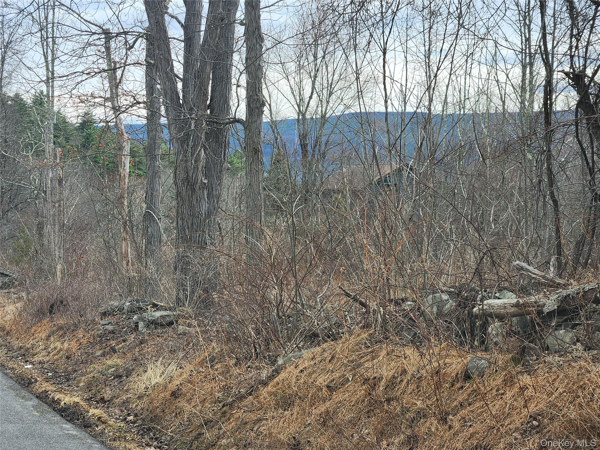 Cape Road Ellenville, NY 12428 - Photo 1 of 13