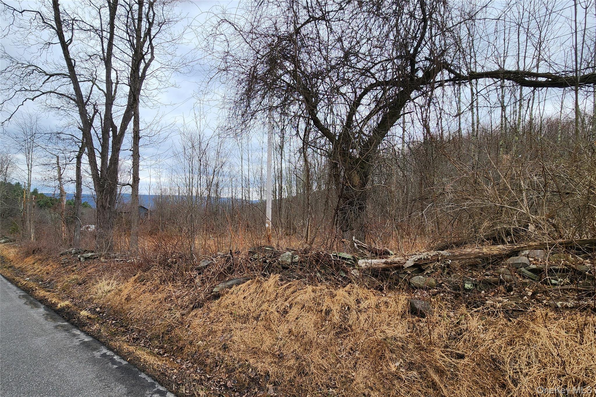 Cape Road Ellenville, NY 12428 - Photo 12 of 13
