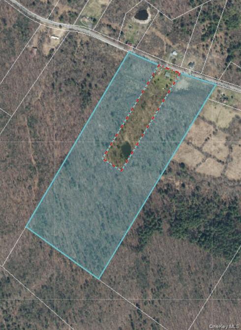 Cape Road Ellenville, NY 12428 - Photo 2 of 13