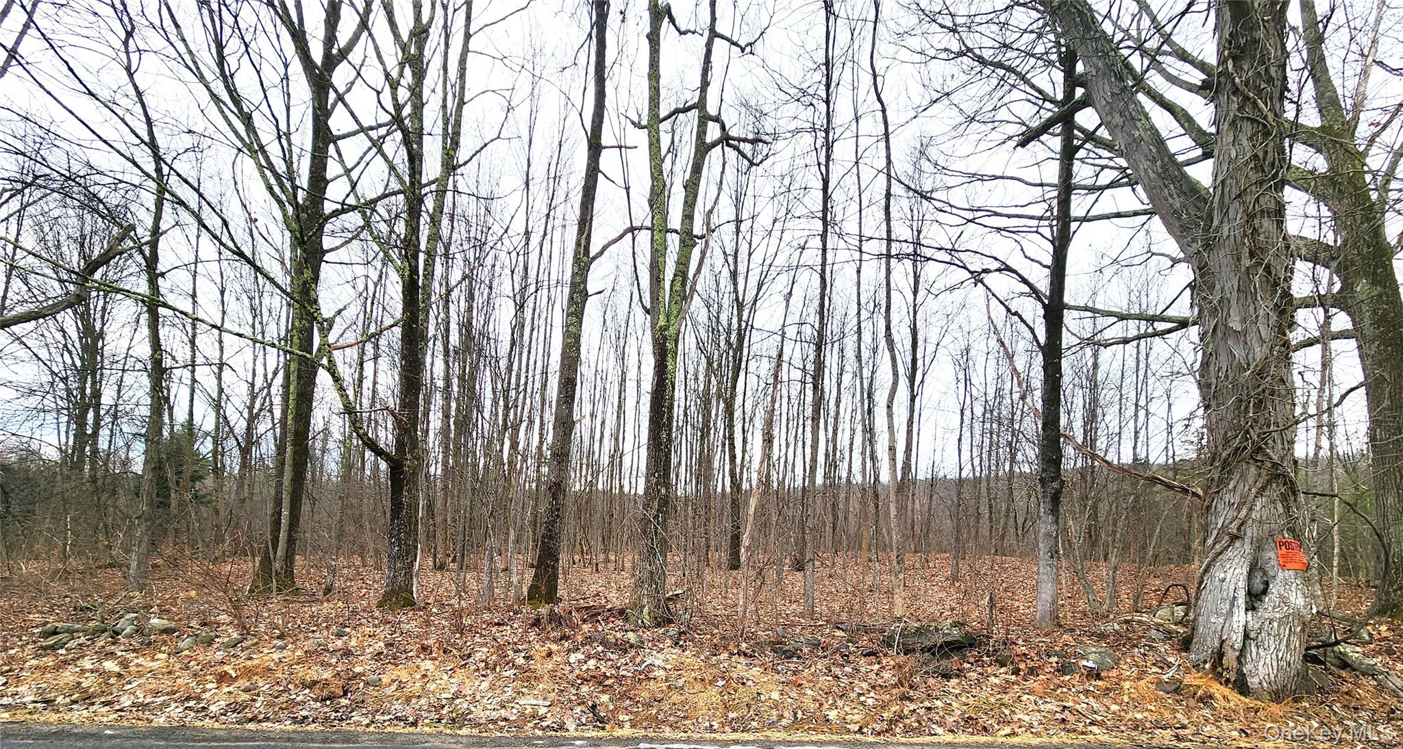 Cape Road Ellenville, NY 12428 - Photo 3 of 13