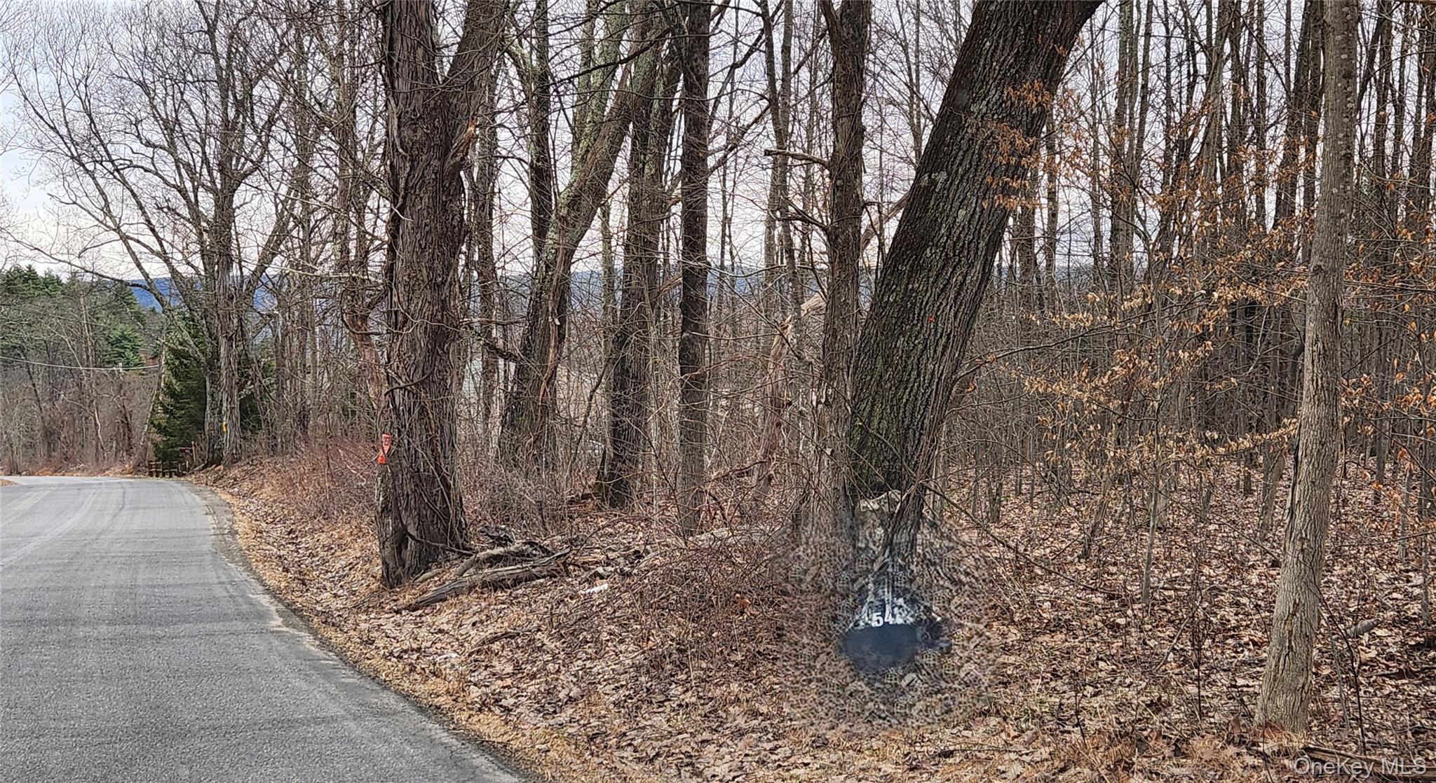 Cape Road Ellenville, NY 12428 - Photo 4 of 13