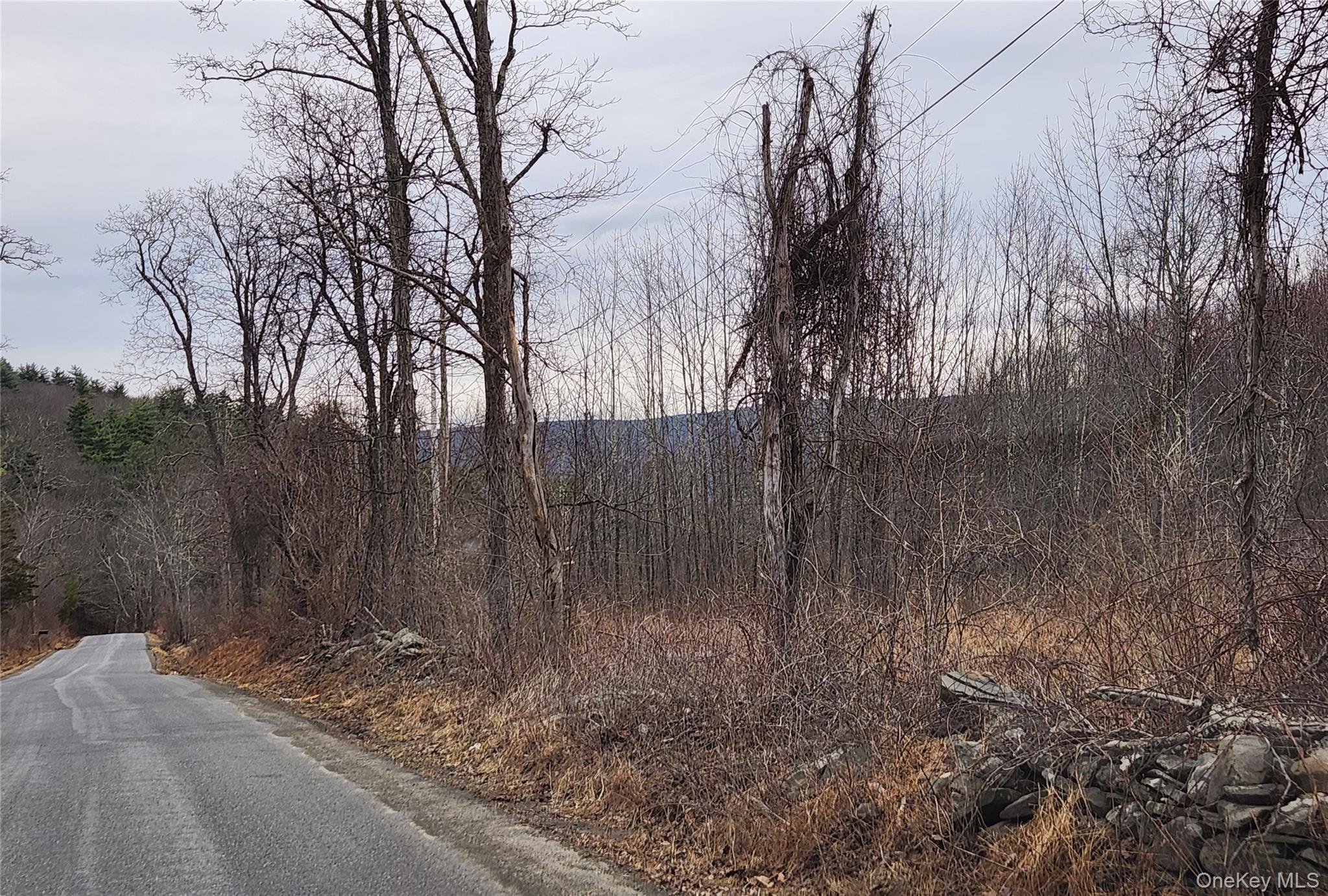 Cape Road Ellenville, NY 12428 - Photo 5 of 13