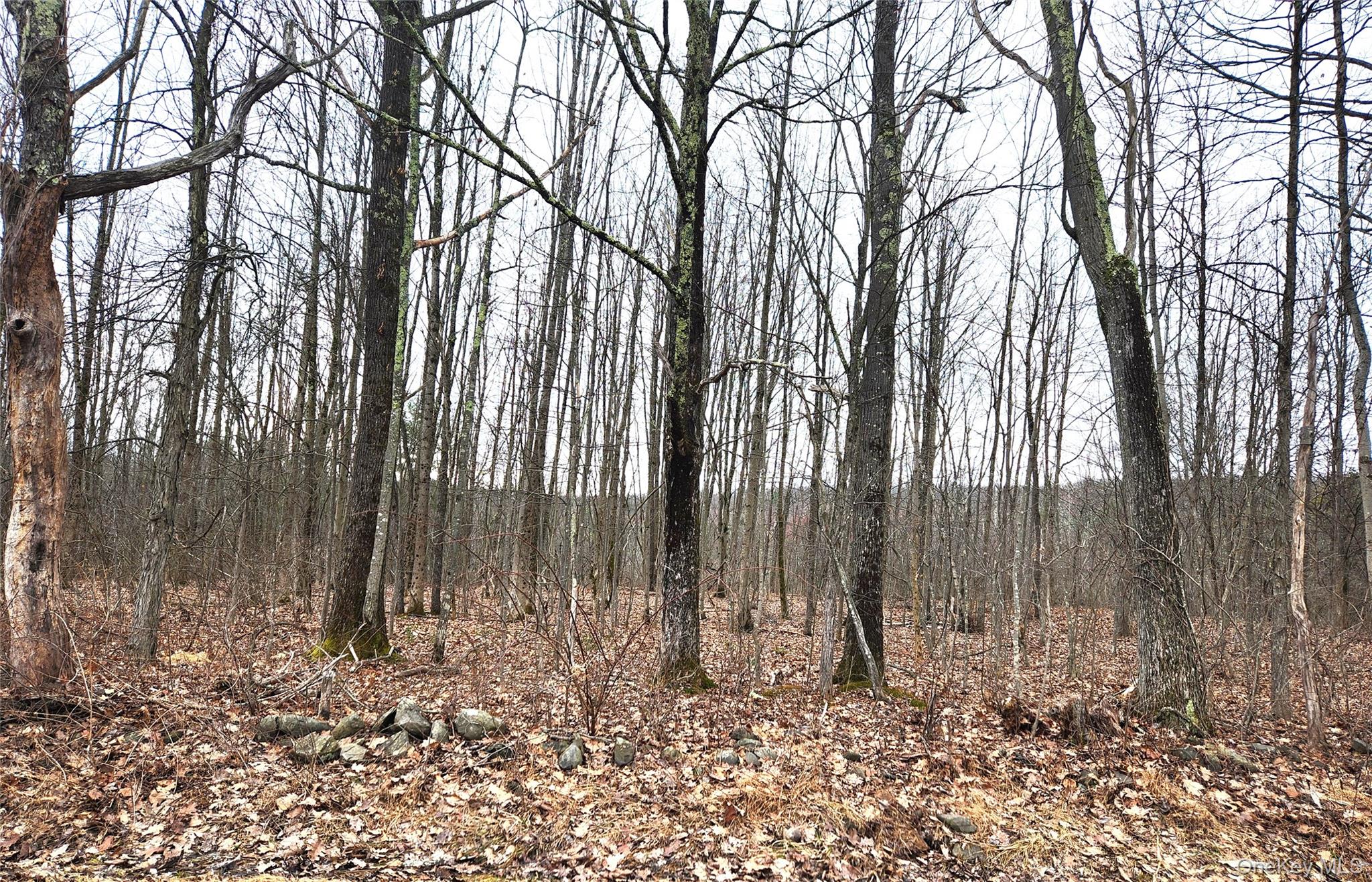 Cape Road Ellenville, NY 12428 - Photo 6 of 13