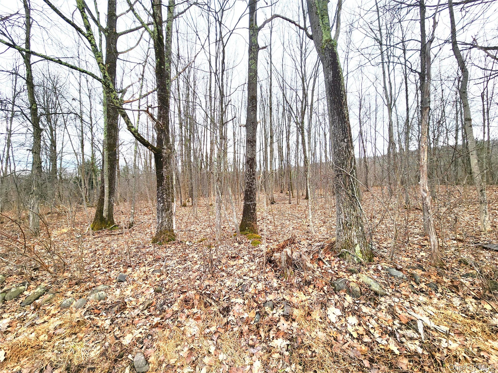 Cape Road Ellenville, NY 12428 - Photo 8 of 13