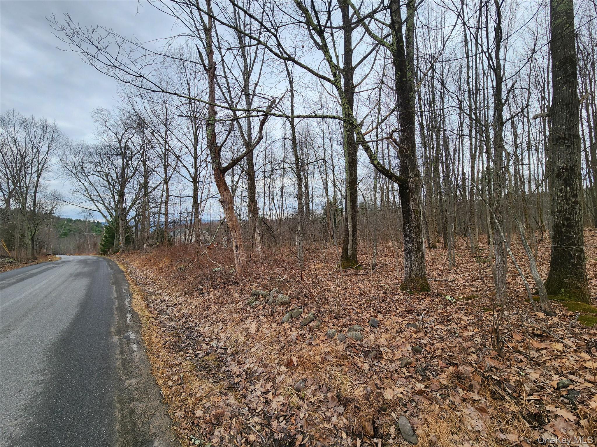 Cape Road Ellenville, NY 12428 - Photo 9 of 13