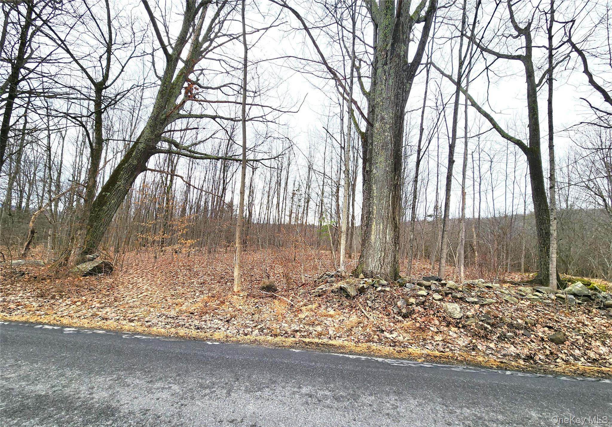 Irish Cape Road Ellenville, NY 12428 - Photo 10 of 16 a view of wooden fence of a house