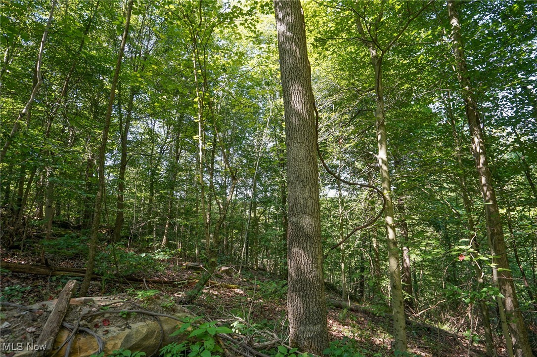 Johnson Run Road Kimbolton, OH 43749 - Photo 10 of 36 View of landscape
