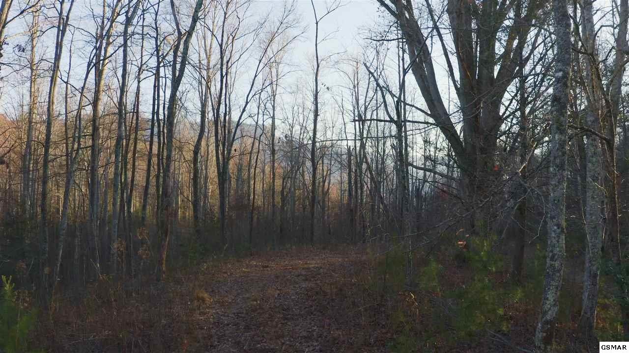 314 Hickey Road Sevierville, TN 37876 - Photo 10 of 36