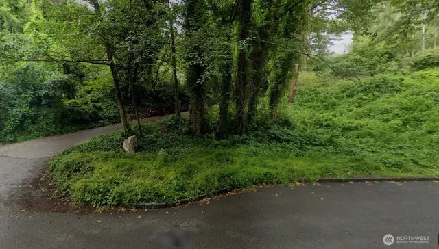 a view of a street with a trees