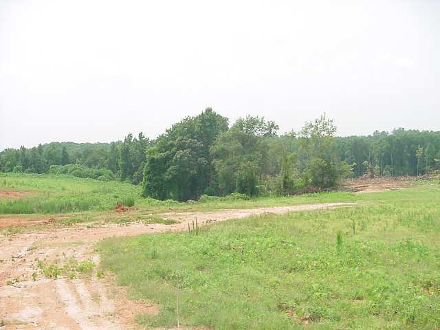 0 Colonels Road Anderson, SC 29621 - Photo 3 of 3