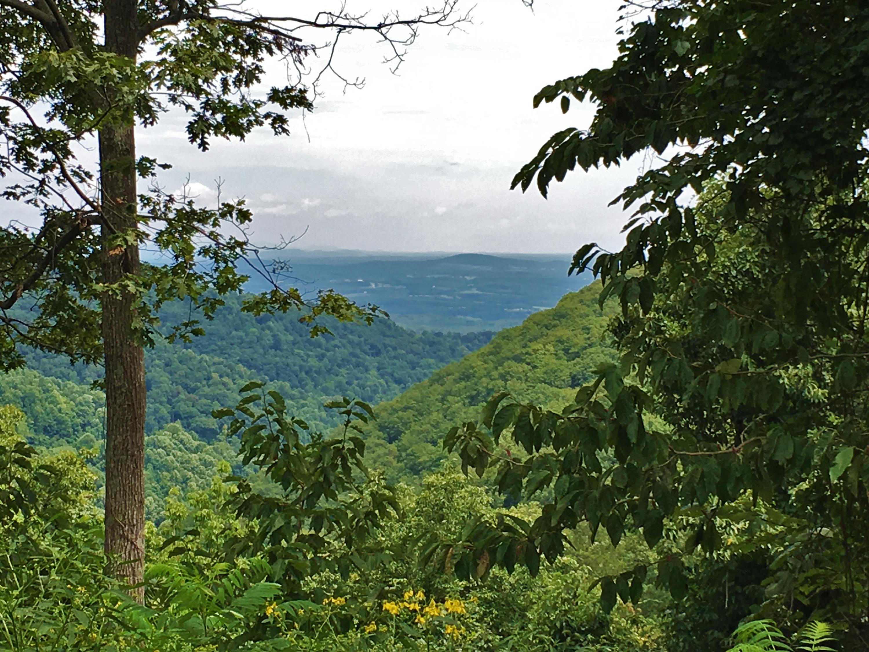 1 Five Mile Mountain Road Callaway, VA 24067 - Photo 1 of 11 Views