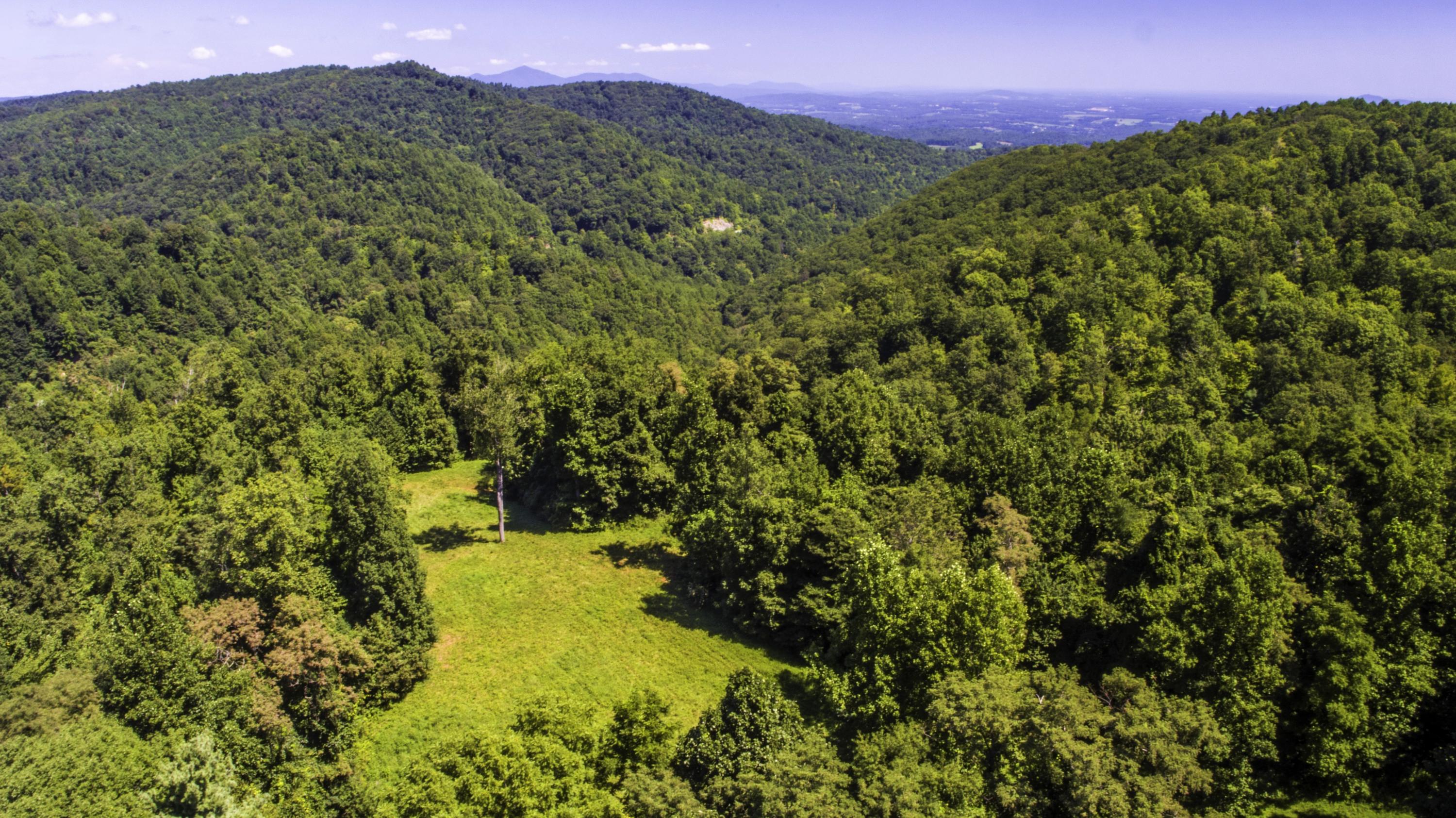 1 Five Mile Mountain Road Callaway, VA 24067 - Photo 11 of 11 View Over Clearing