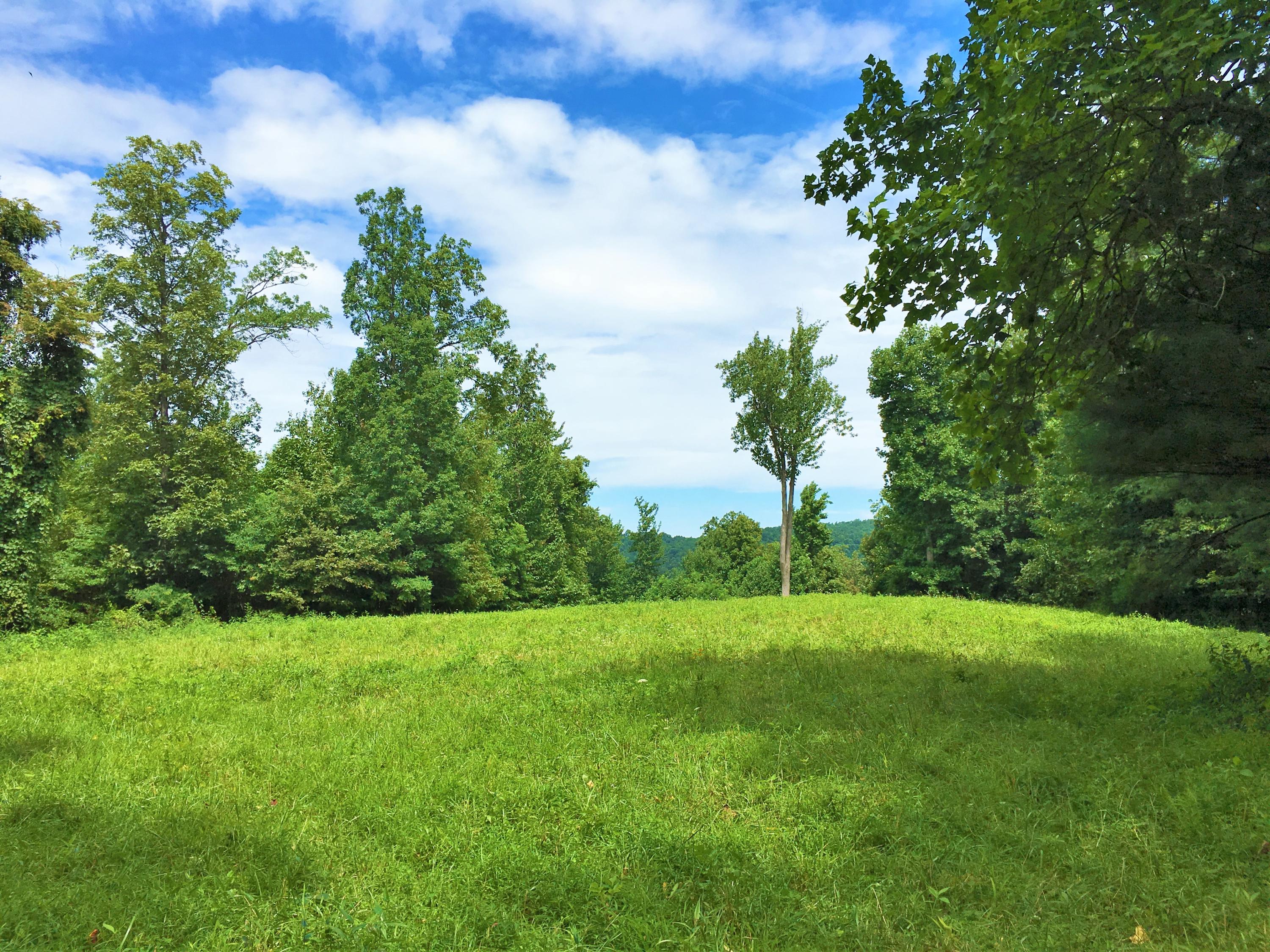 1 Five Mile Mountain Road Callaway, VA 24067 - Photo 2 of 11 Mountain Meadow