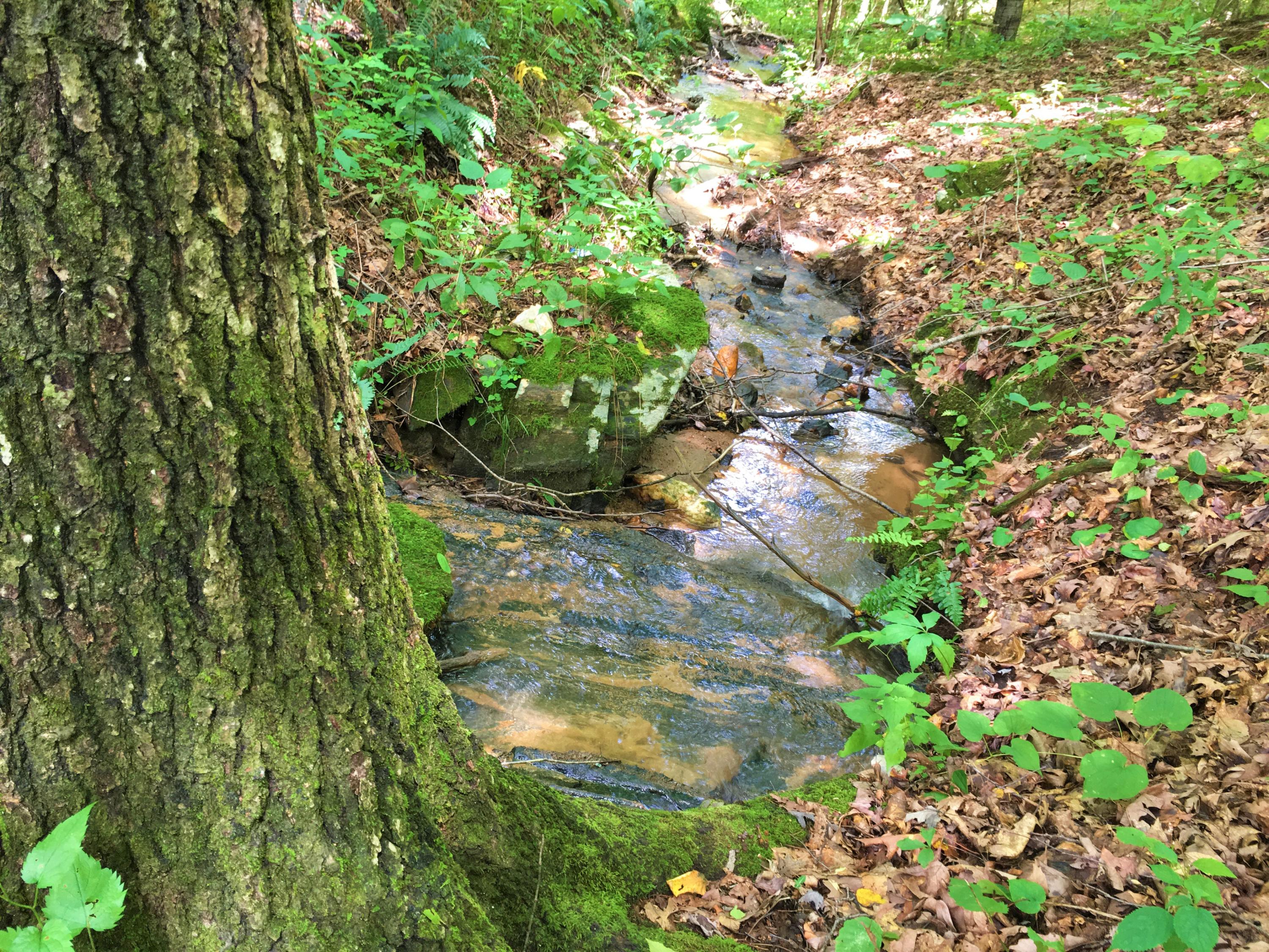 1 Five Mile Mountain Road Callaway, VA 24067 - Photo 3 of 11 Stream and Springs