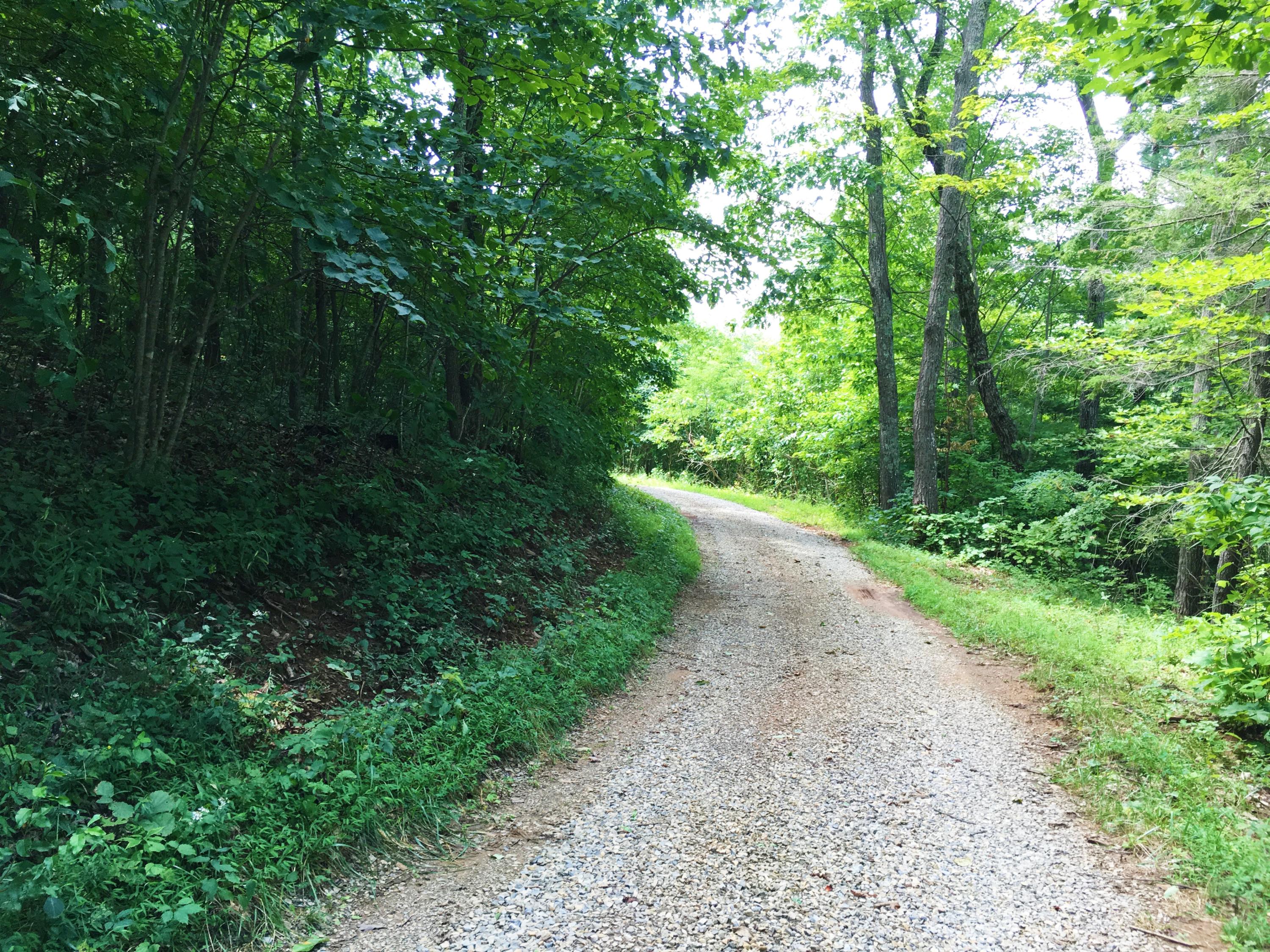 1 Five Mile Mountain Road Callaway, VA 24067 - Photo 4 of 11 Private Road