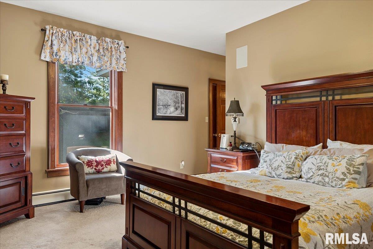 5920 Waldmire Road Rochester, IL 62563 - Photo 41 of 86
